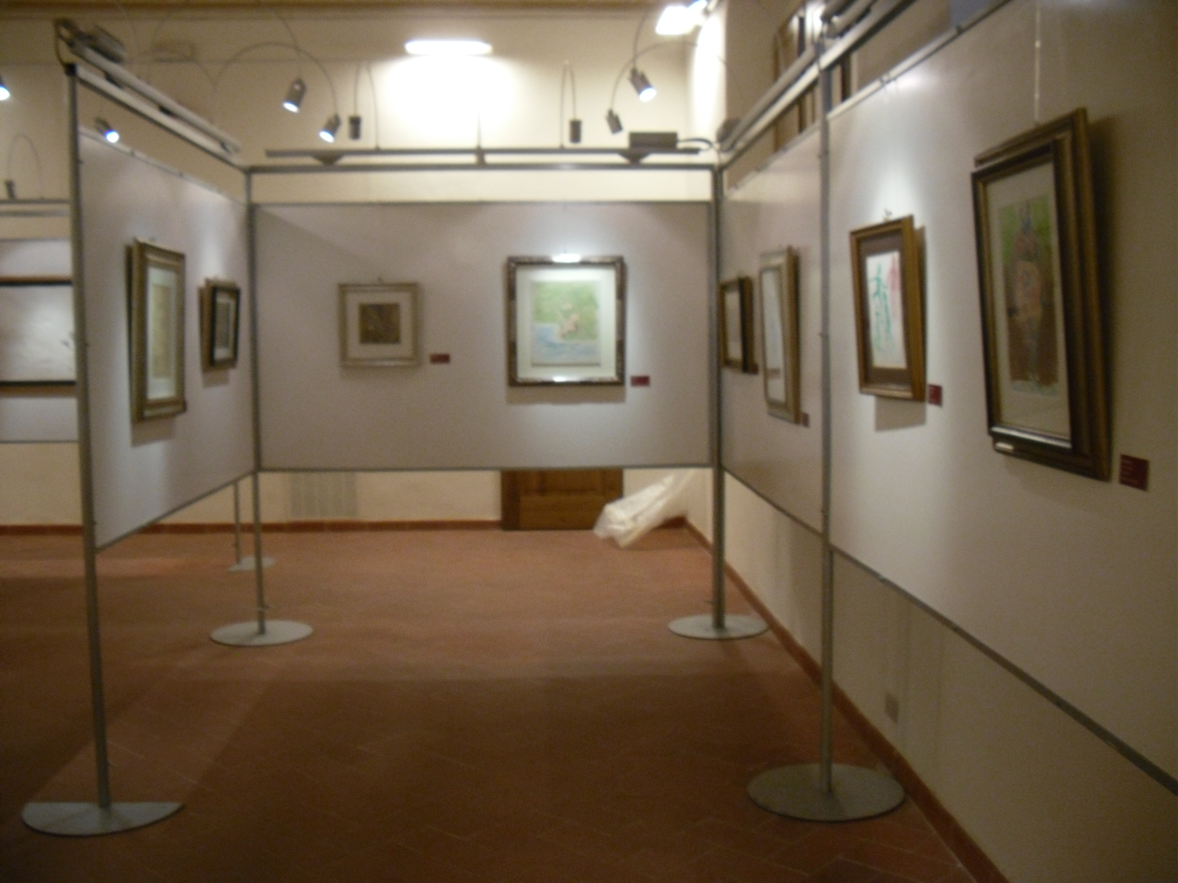 Museo Massa Marittima interni sala espositiva