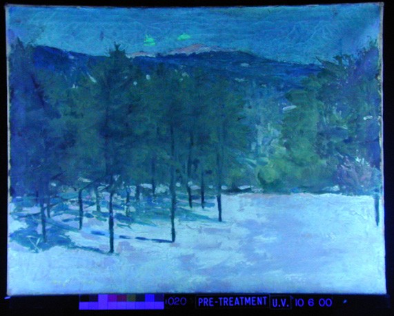 Una fotografia a fluorescenza UV di un dipinto